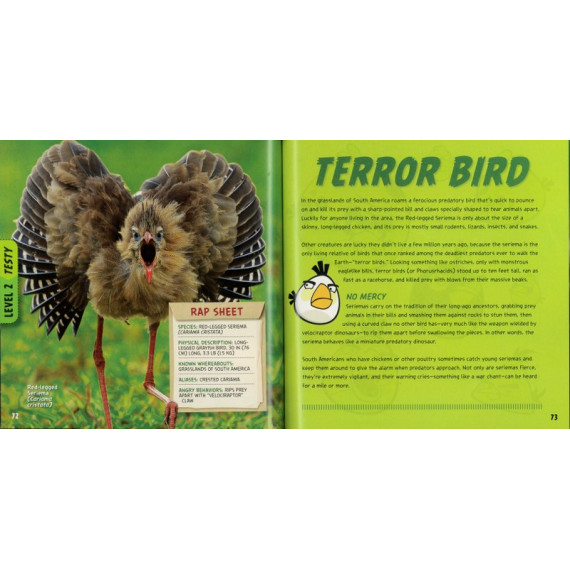 National Geographic - Angry Birds: 50 True Stories of the Fed Up, Feathered, and Furious