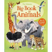 The Usborne Big Book of Animals (2017)(STEAM)(動物)
