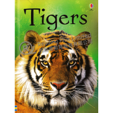 Tigers (Usborne Beginners)
