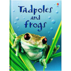 Tadpoles and Frogs (Usborne Beginners)