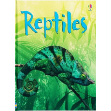 Reptiles (Usborne Beginners)