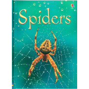 Spiders (Usborne Beginners)