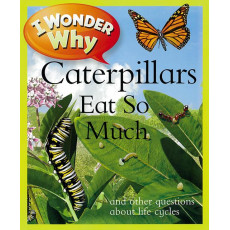 I Wonder Why: Caterpillars Eat So Much and Other Questions About Life Cycles