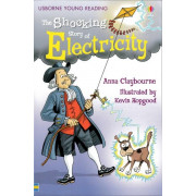 The Shocking Story of Electricity (Usborne Young Reading Series 2)
