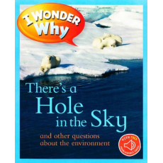 I Wonder Why: There's a Hole in the Sky and Other Questions About the Environment (with QR Code Audio Access)