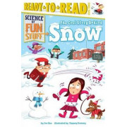 Science of Fun Stuff: The Cool Story Behind Snow (Ready to Read Level 3)