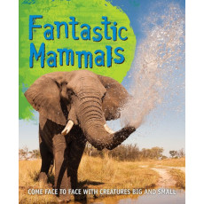 Fast Facts: Fantastic Mammals - Come Face to Face with Creatures Big and Small (**有瑕疵商品)