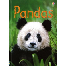 Pandas (Usborne Beginners)