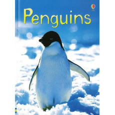 Penguins (Usborne Beginners)