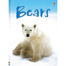 Bears (Usborne Beginners)