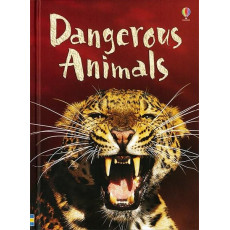 Dangerous Animals (Usborne Beginners)